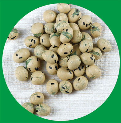 comprare Amore di Sugar Seaweed Coated Peanuts Children per mangiare le arachidi rivestite croccanti online manufacture