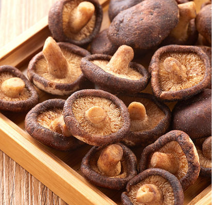 Spuntini profondi di Fried Mushrooms Sweet Healthy Vegetable dello shiitake dell'olio di palma